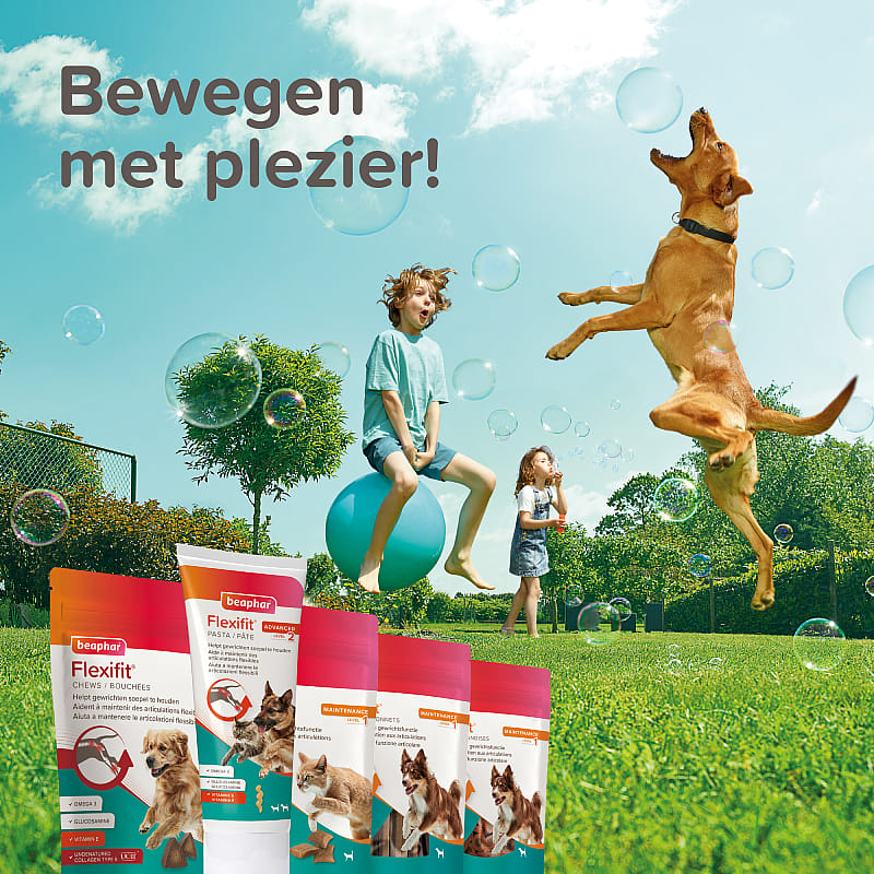 Beaphar Flexifit Pasta Hond Kat 250 gram | 13833