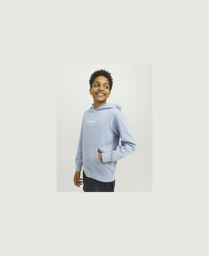 Jack & Jones JORVESTERBRO SWEAT HOOD NOOS JNR Mountain spring/loose