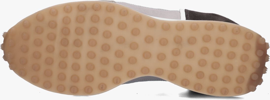 GOOSECRAFT multi goosecraft lage sneakers dane men