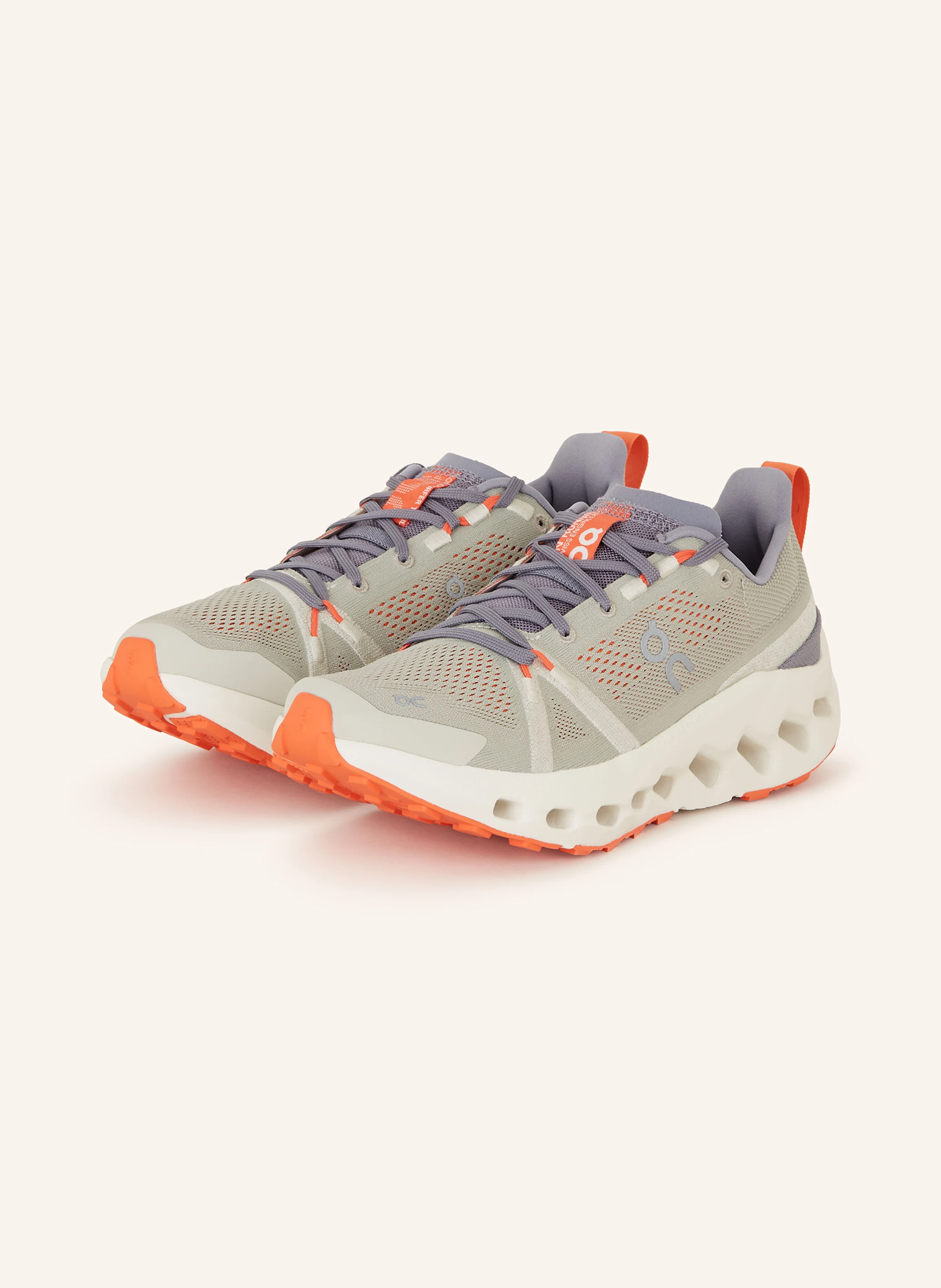 On Trailrunning-Schuhe CLOUDSURFER TRAIL