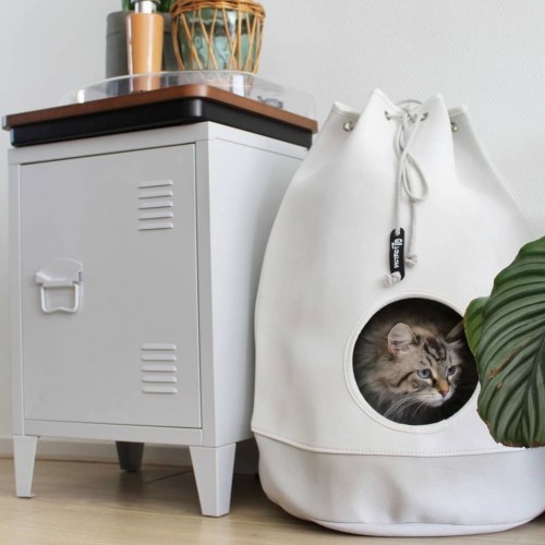 District70 Cat House/BAG, Cor Merengue