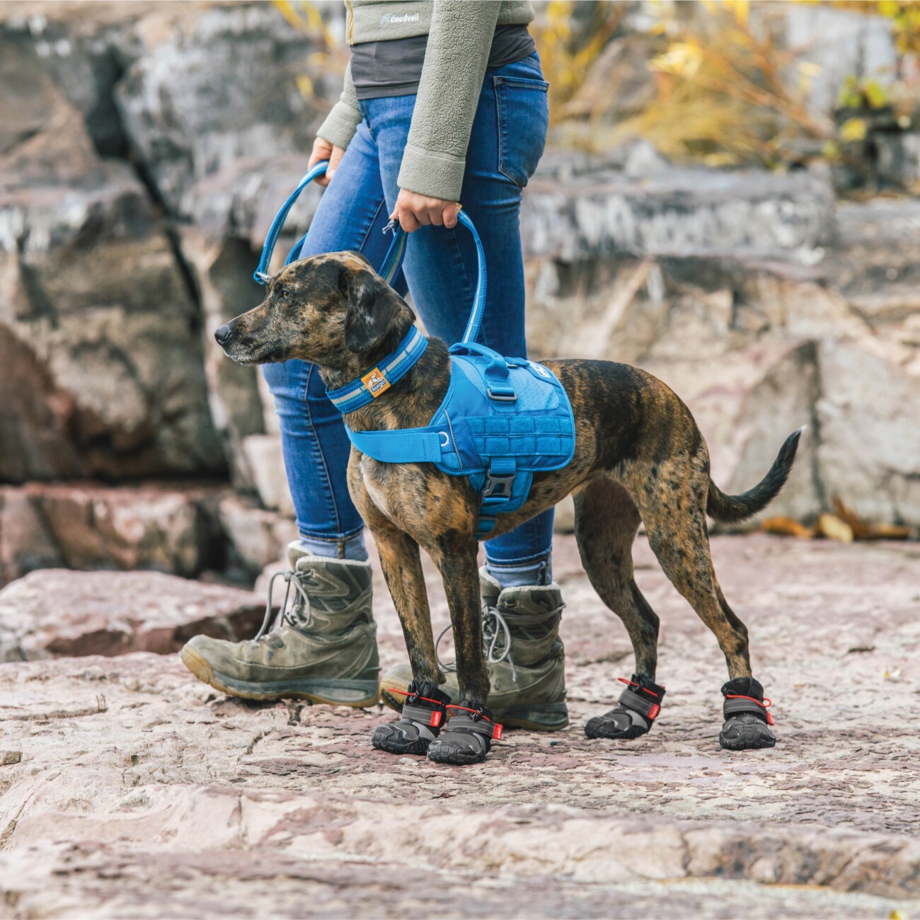 Kurgo Hundeschuhe Blaze Cross- L