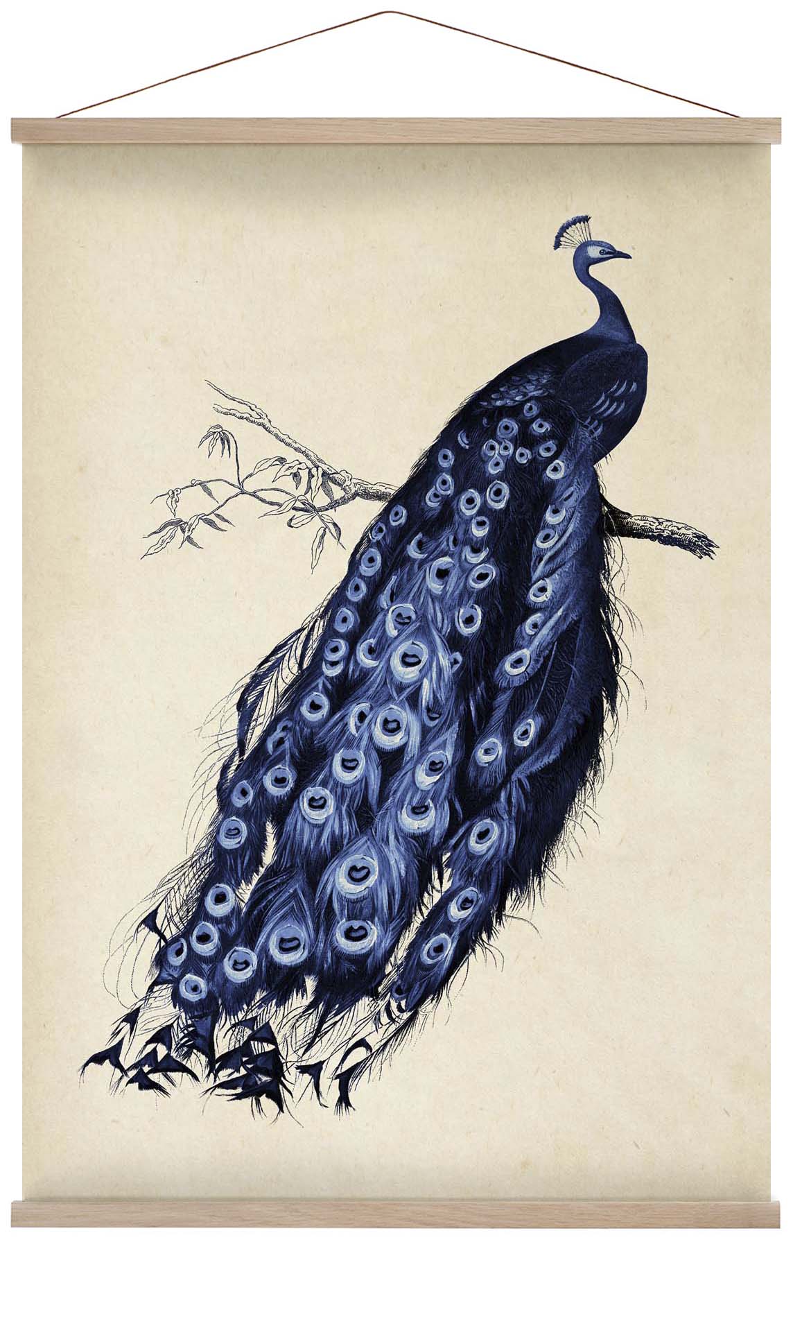 Antiker blauer Pfau