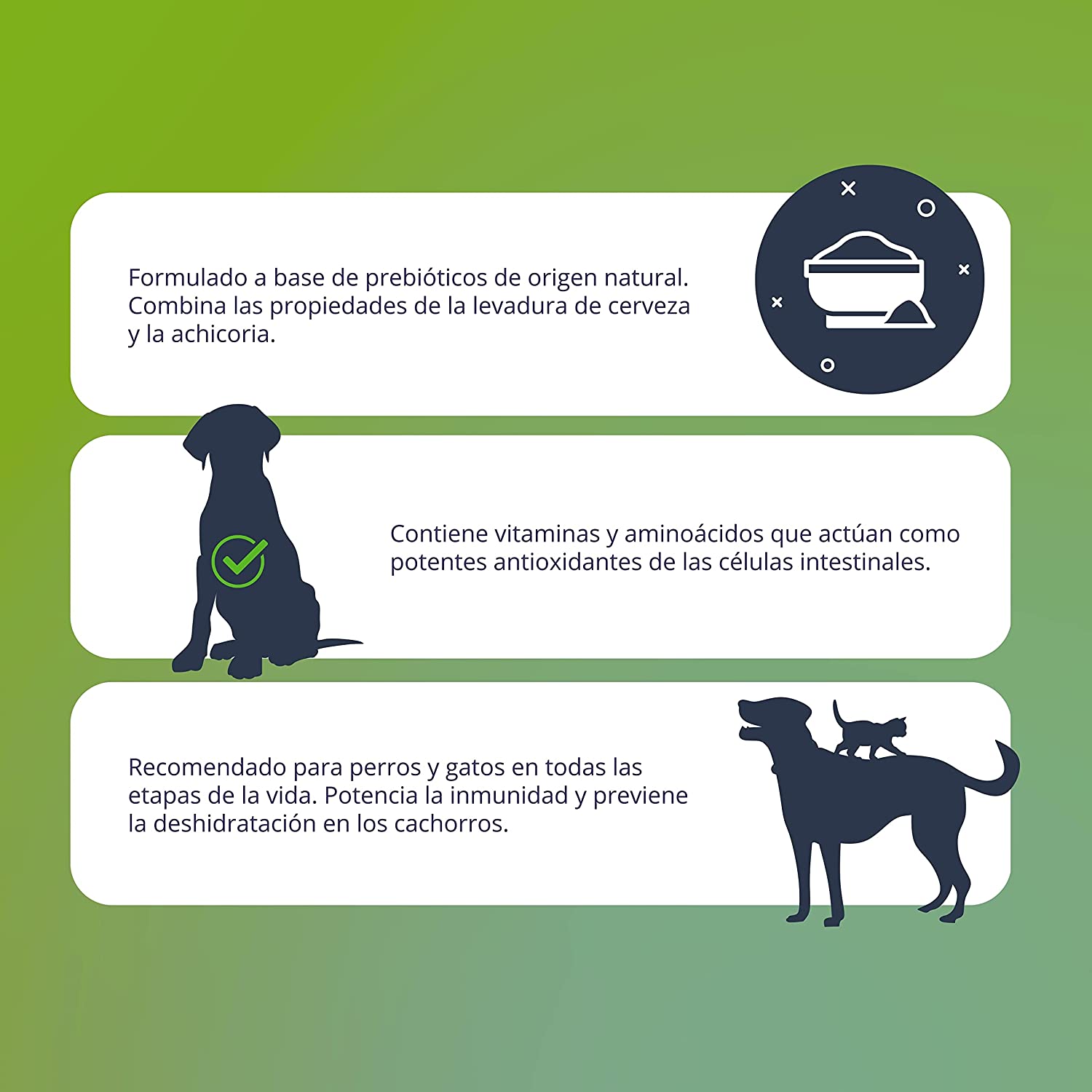 Óleo Prebiótico para Animais de Estimação – DIGEST PREMIUM 250ml - Suplemento Nutricional com Levedura de Cerveja e Chicória - Melhora a Saúde Intestinal de Cães e Gatos – Frasco com Dosador