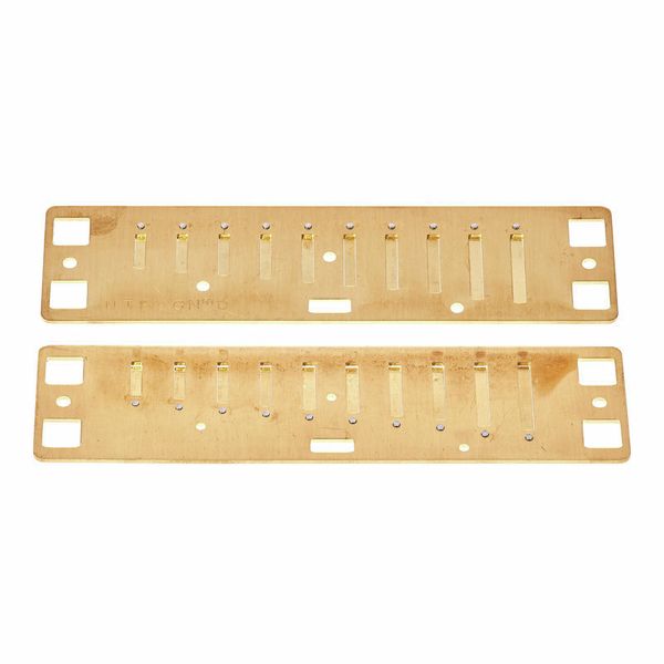 Lee Oskar Natural Minor Reedplates D