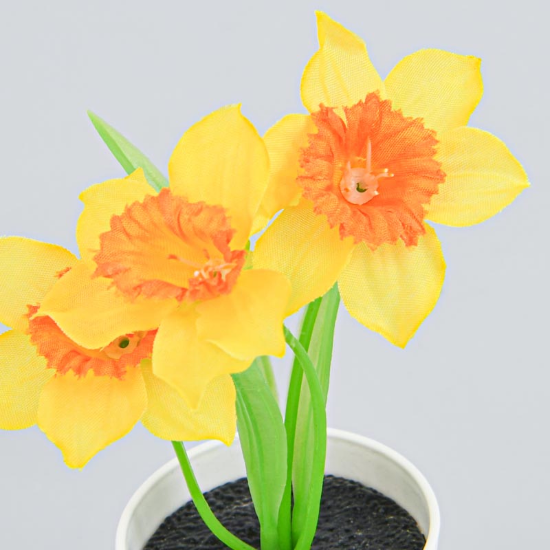Mini composition de jonquilles