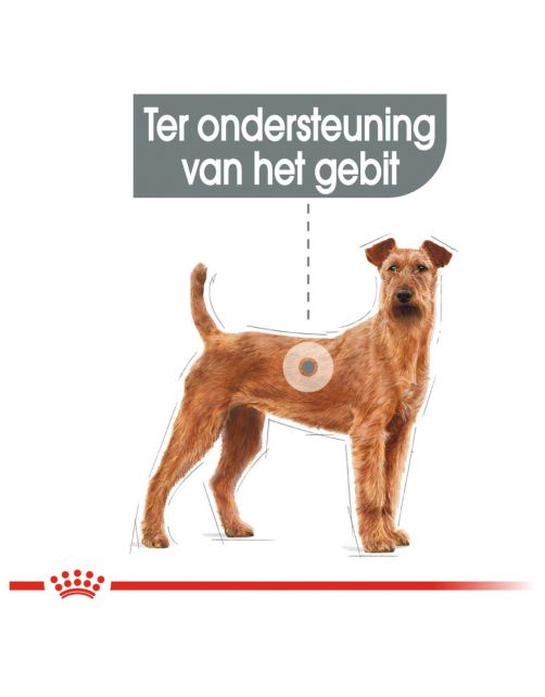 Royal Canin Dental Care Medium - Hondenvoer