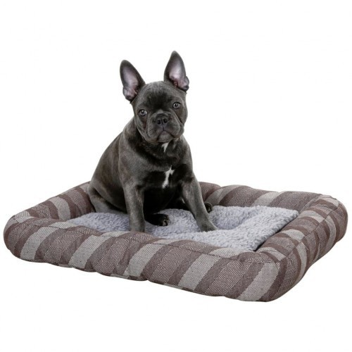 Cama para cachorro Pablo, cinza