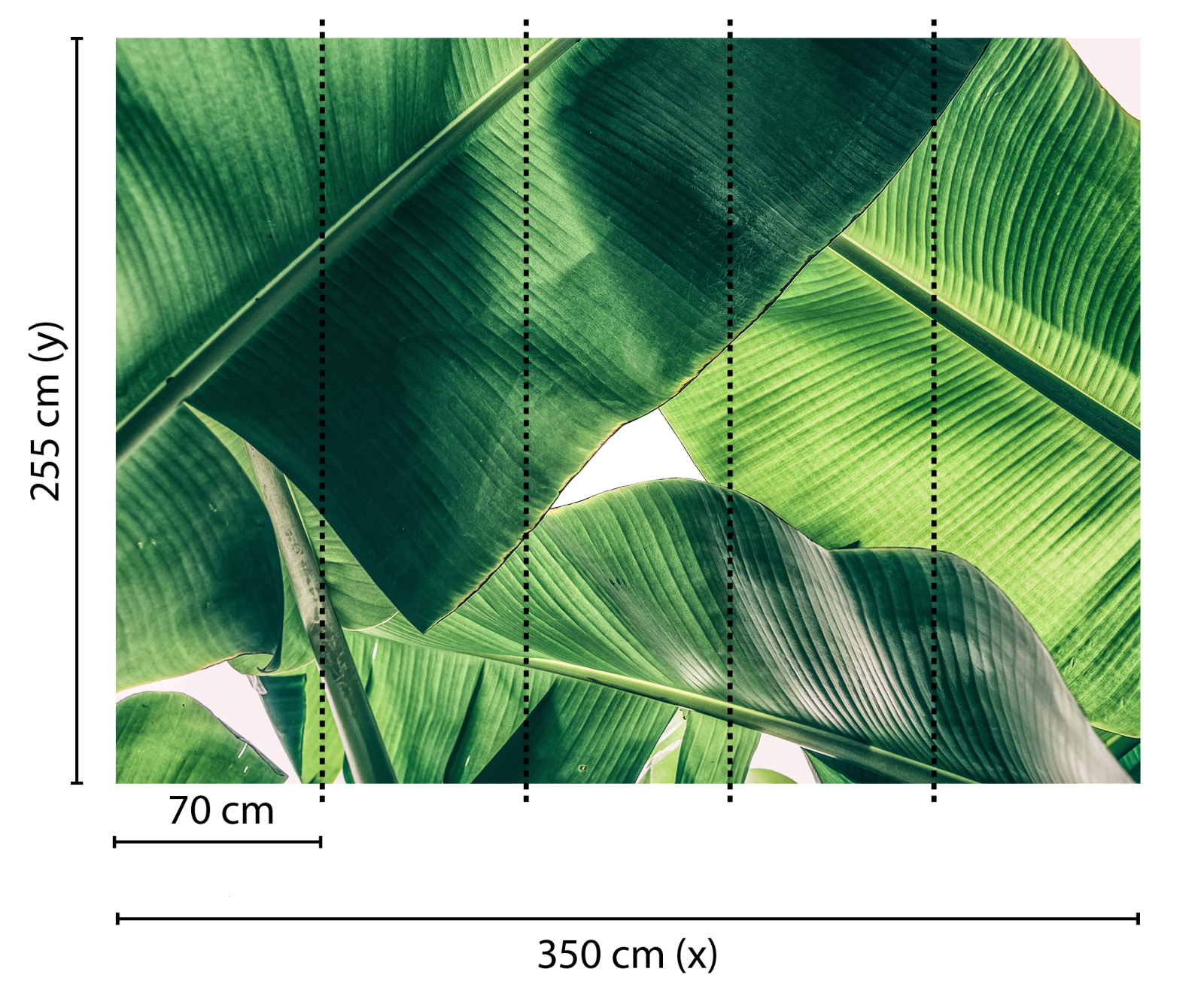 Fototapete DESIGNWALLS - grün-weiß - Palmblätter - 2,55 Meter