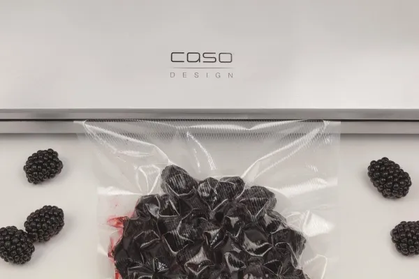 Caso | Bar Vacuum Sealer | GourmetVAC 480 | Effekt 160 W | Sølv