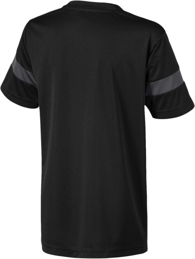 Puma ftblPLAY T-shirt Sort