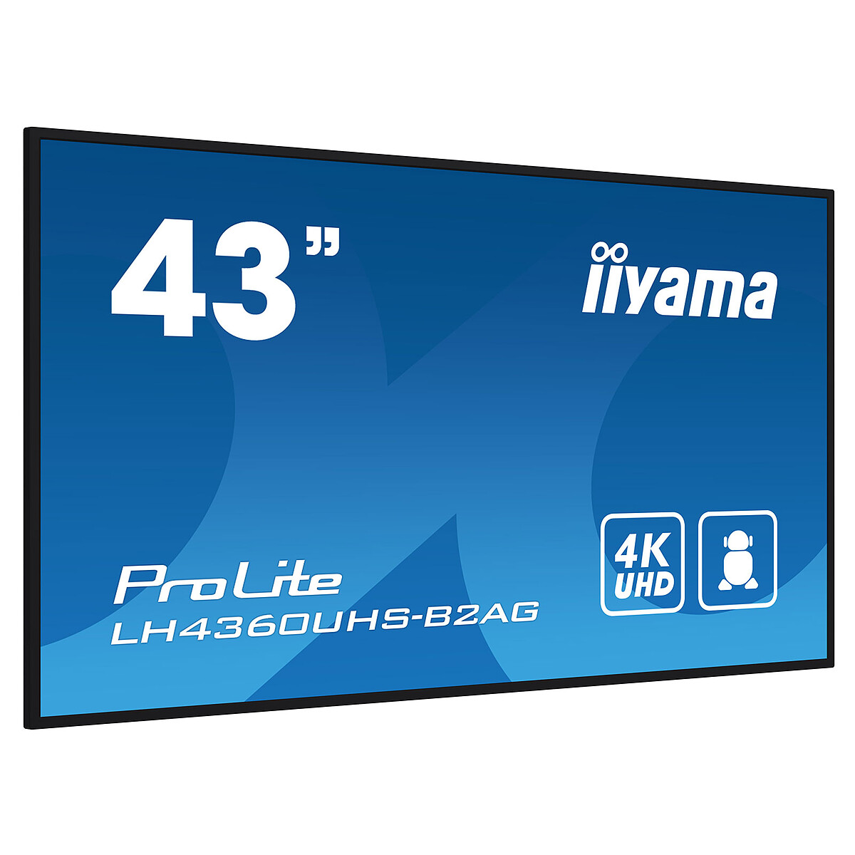 iiyama 43