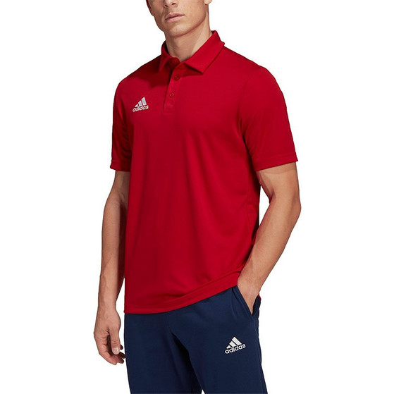adidas Entrada 22 Polo