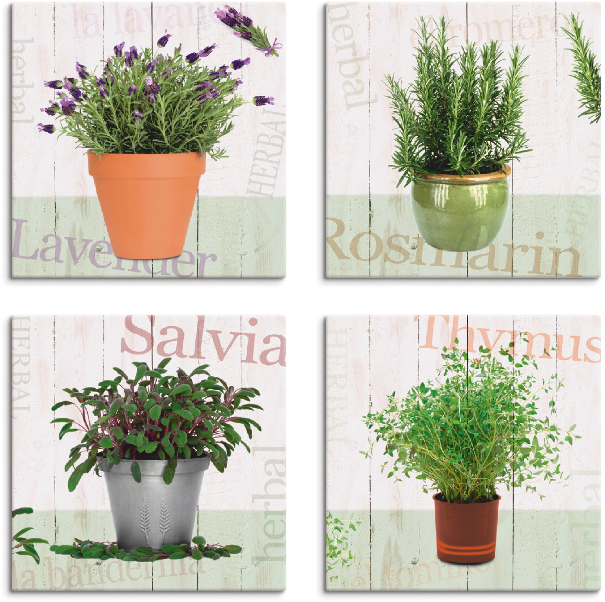 Artland Leinwandbild »Lavendel, Rosmarin, Salbei, Thymian« Pflanzen 4 Stk. tlg. 4er Set, verschiedene Grössen