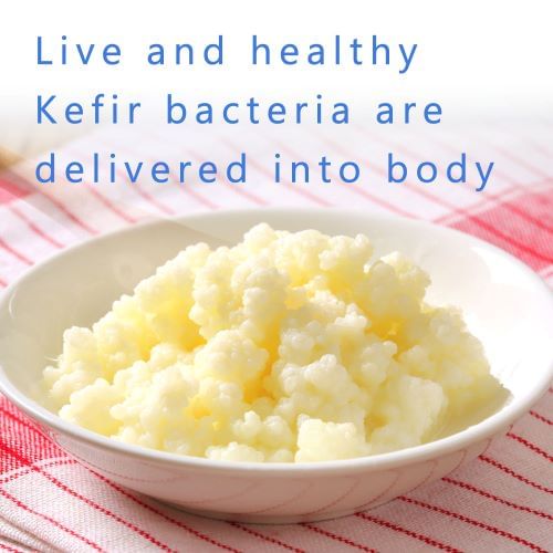 FINE JAPAN - Actieve Kefir Probiotische Tablet