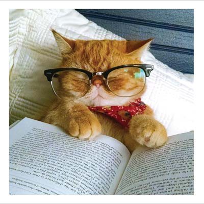Bookworm Cat Card