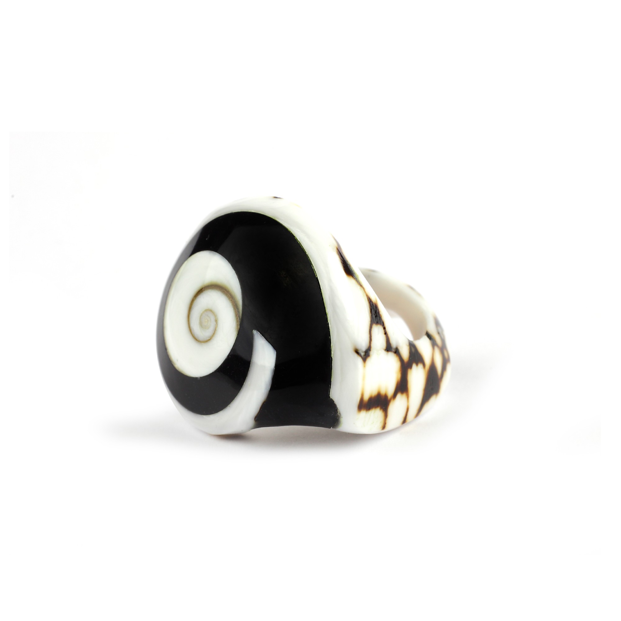 Ring aus Tigermuschel braun-weiß, T 3 cm, B 3 cm, H 4 cm günstig bestellen