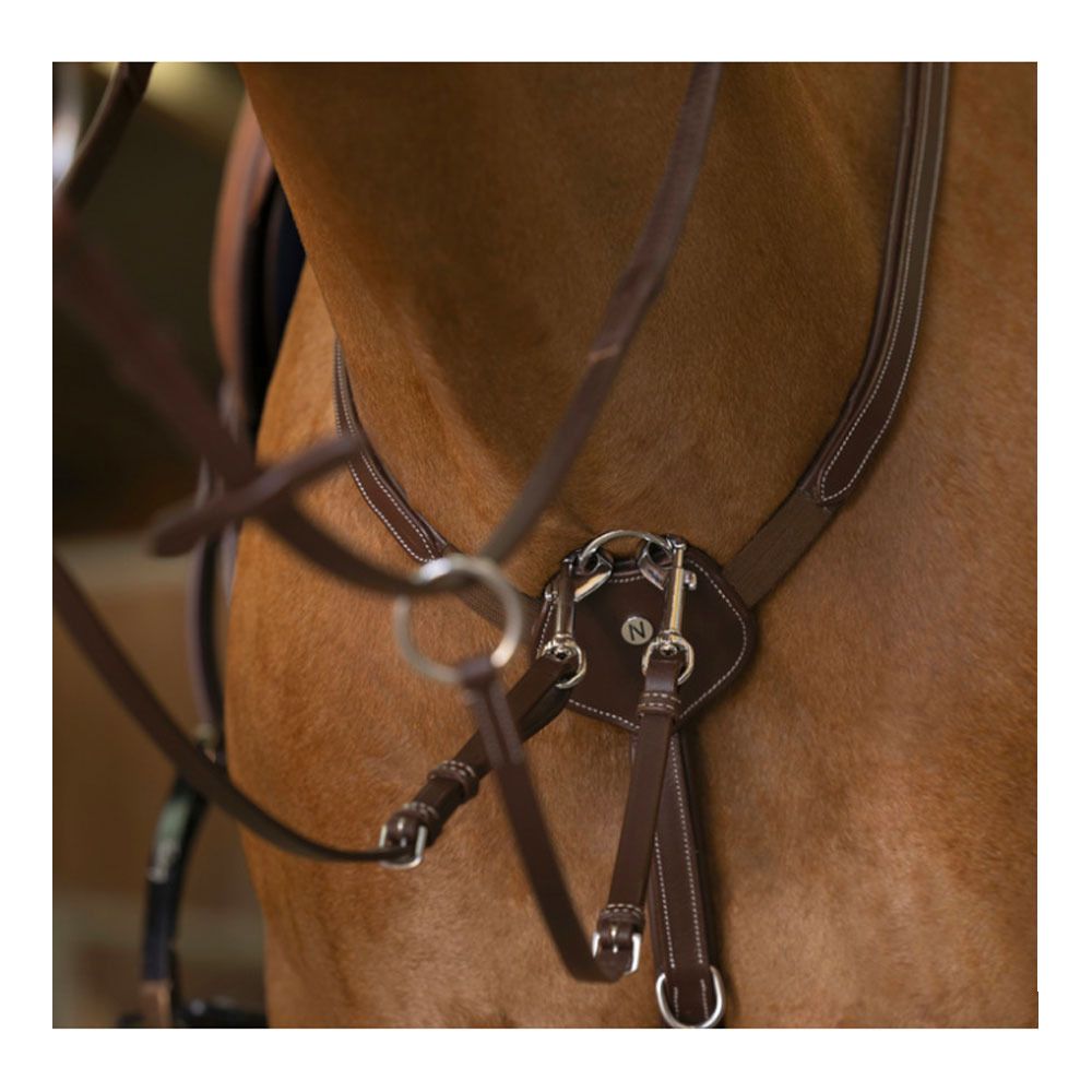 Norton CONFORT - Collier de chasse havane