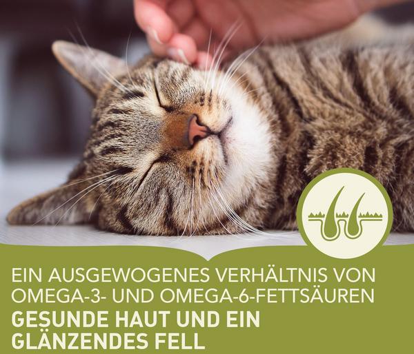 ACANA Trockenfutter für Katzen Regionals Cat