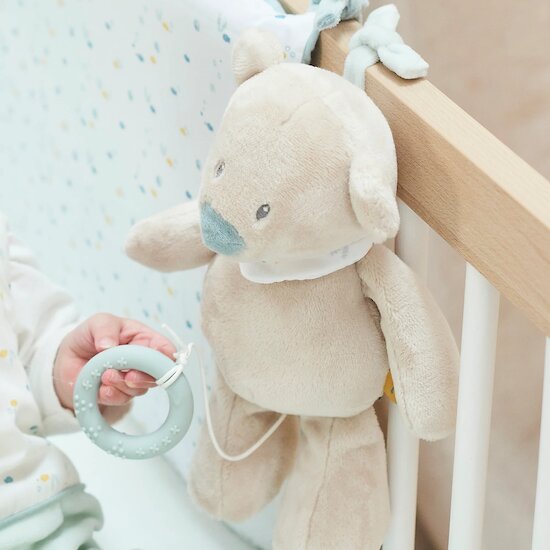 Romeo, Jules et Sally Peluche Musicale   Jules l'ours        30 cm   de               Nattou