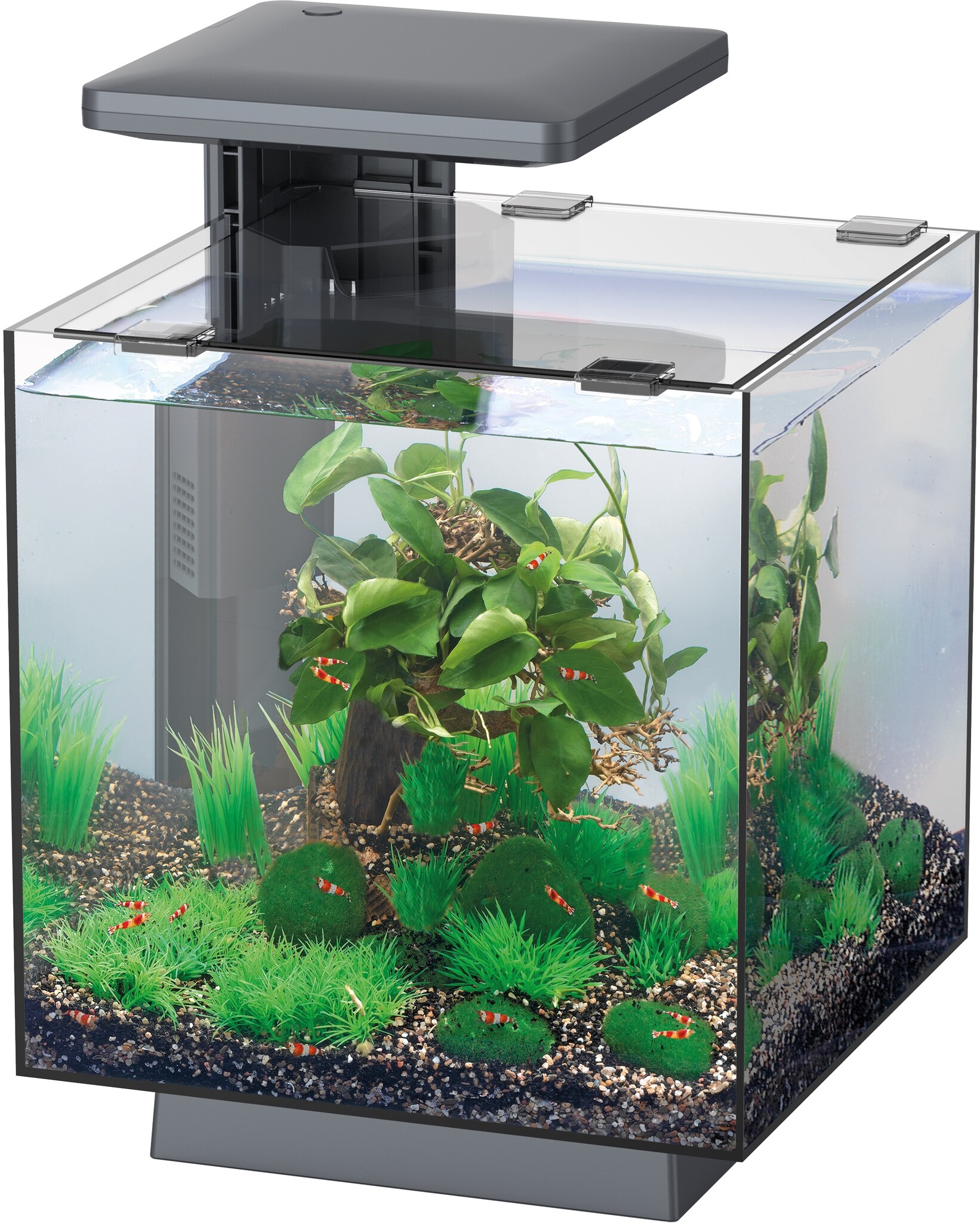 Qubiq 15 LED Zwart