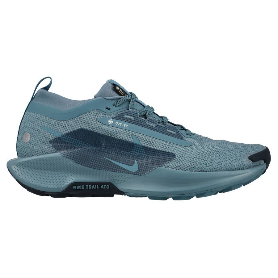Nike Chaussures de Running Pegasus Trail 5 Gore-Tex - Bleu