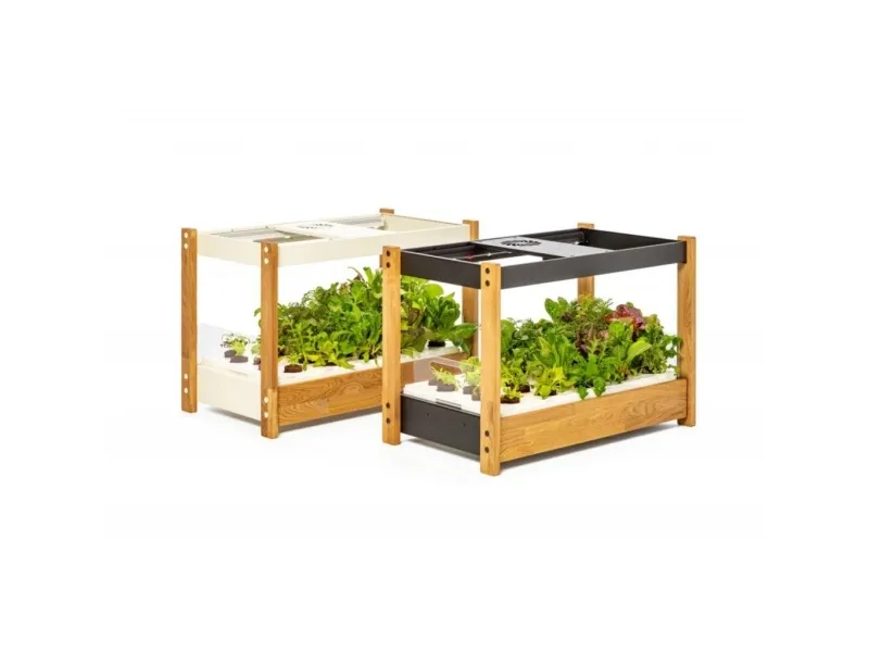 Click and Grow 25 - Black (Salad Greens 54x pack)