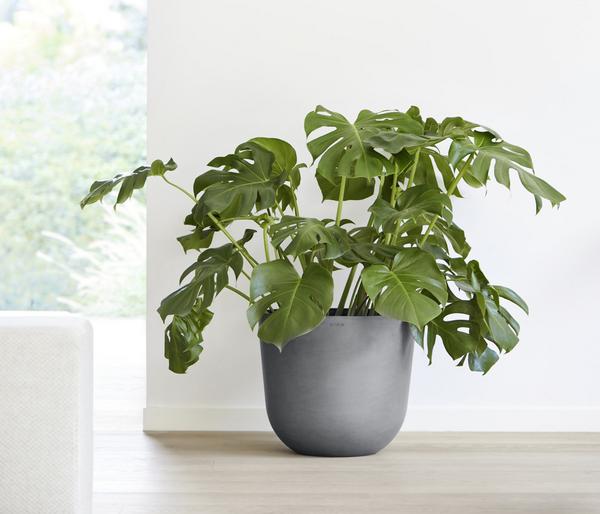 Ecopots Kunststoff-Topf Oslo, rund