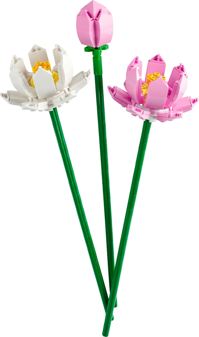 Lotusblomster LEGO® Iconic (40647)