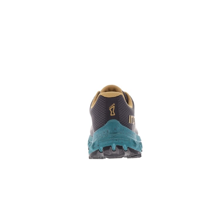 Inov-8 Rocfly g 350 GTX Women