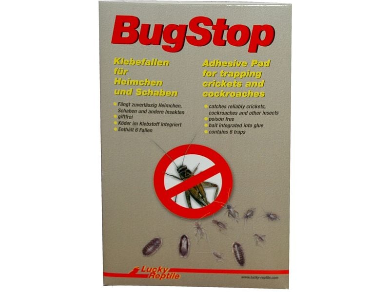 Lucky Reptile Bug Stop Heimchen Klebefalle, 6 Stück Klebefalle für Insekten