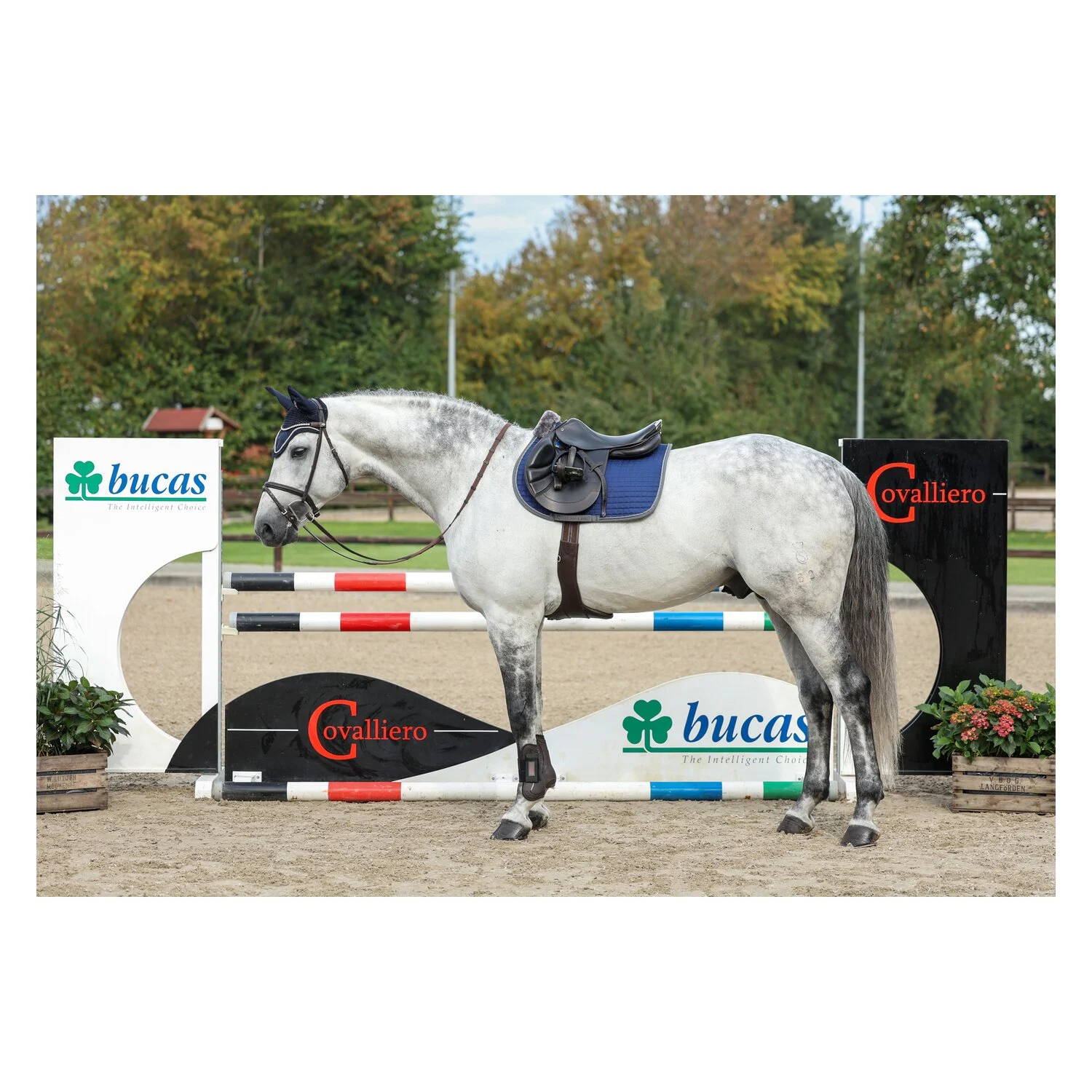 bucas Show-Line Collection Schabracke  - navy/grey