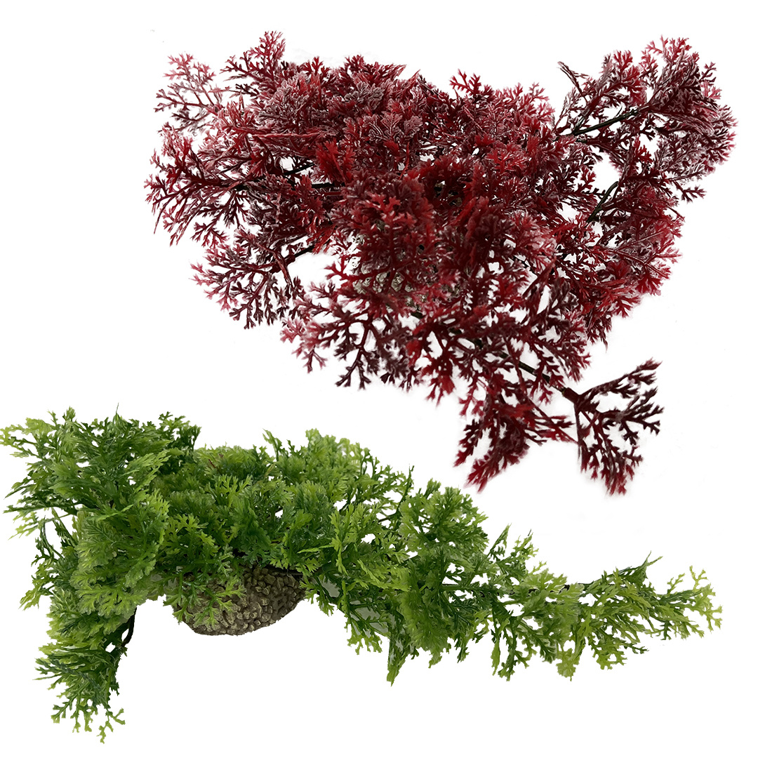 Aqua D'ella Hangend Mos 5cm Groen en Rood | Decoratie
