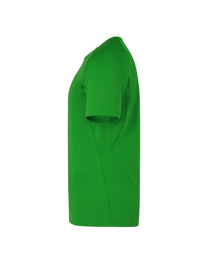 Maillot de rugby Nike Team Vert pour homme
