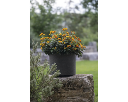 Geli Rondo bloempot, kunststof, 29x29x24,5 cm, antraciet