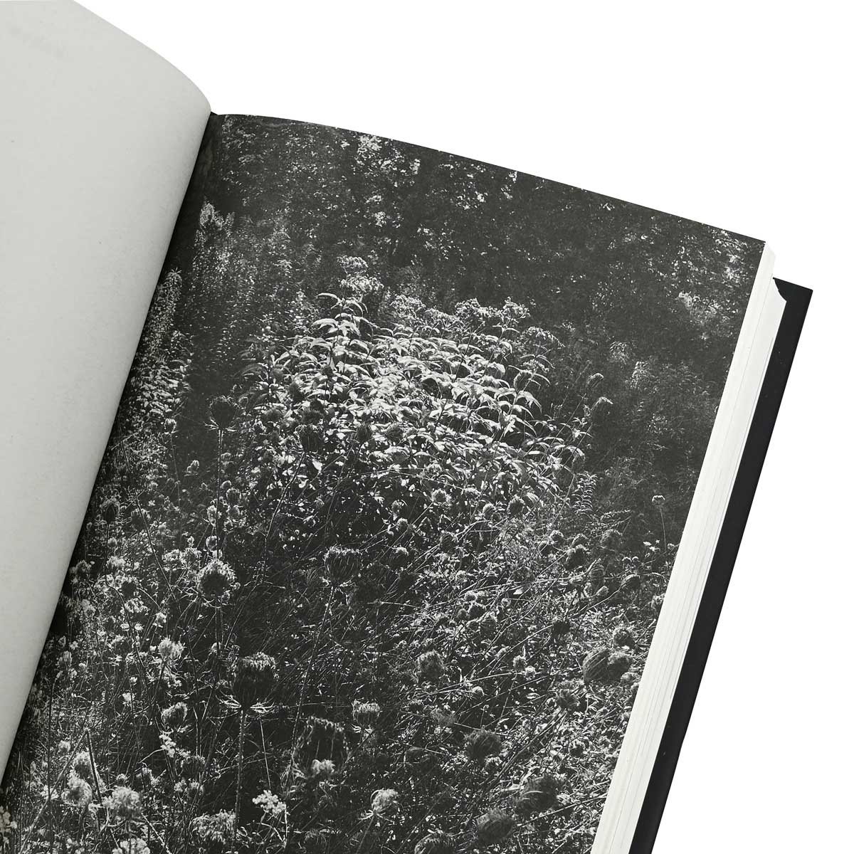 North Woods: Signed Edition (Hardback)