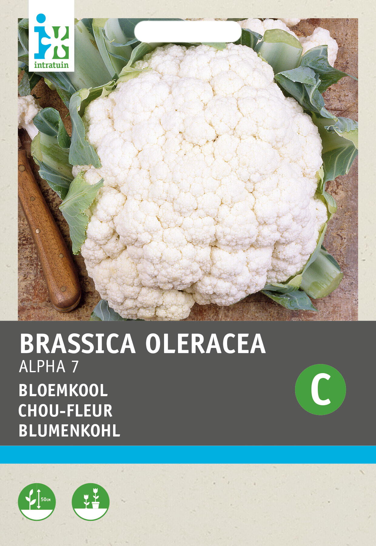 Intratuin groentezaad Bloemkool (Brassica oleracea 'Alpha')