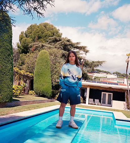 Molo Sweatshirt - Mixi - Whale Jump
