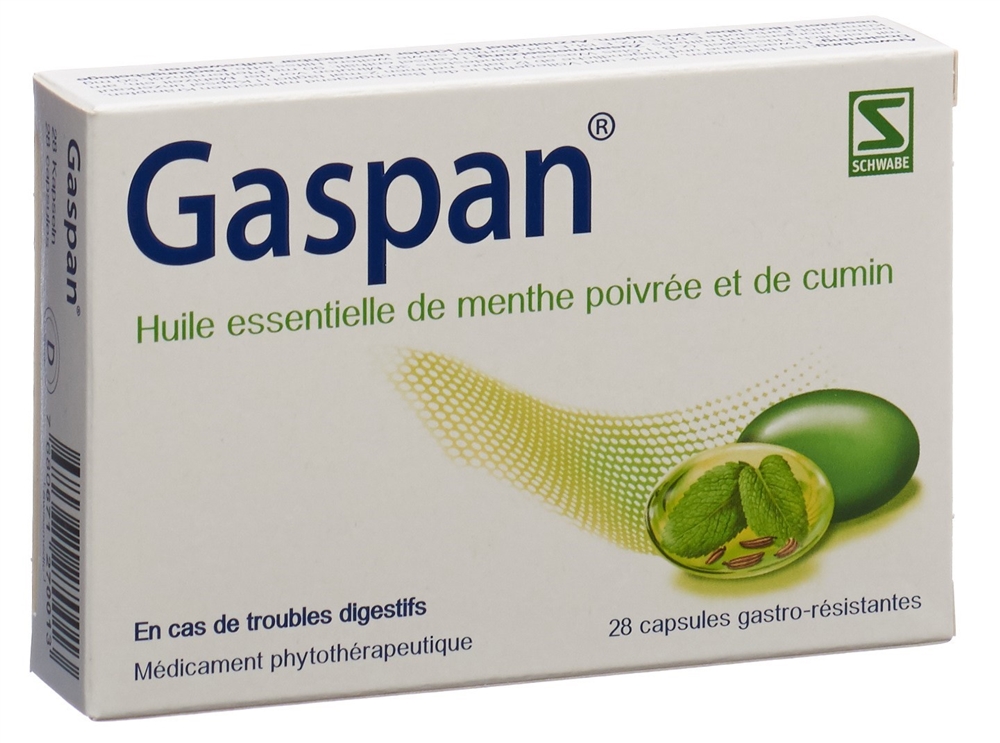 GASPAN Weichkaps magensaftresistent Blist 28 Stk