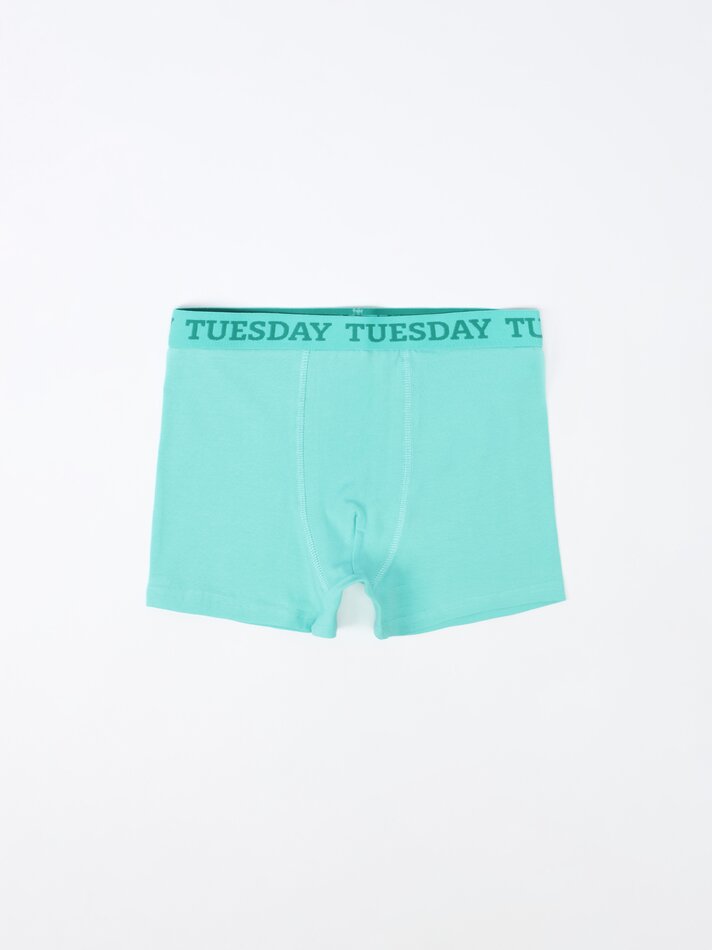 Pacote com 7 cuecas boxer para os dias da semana - Variadas