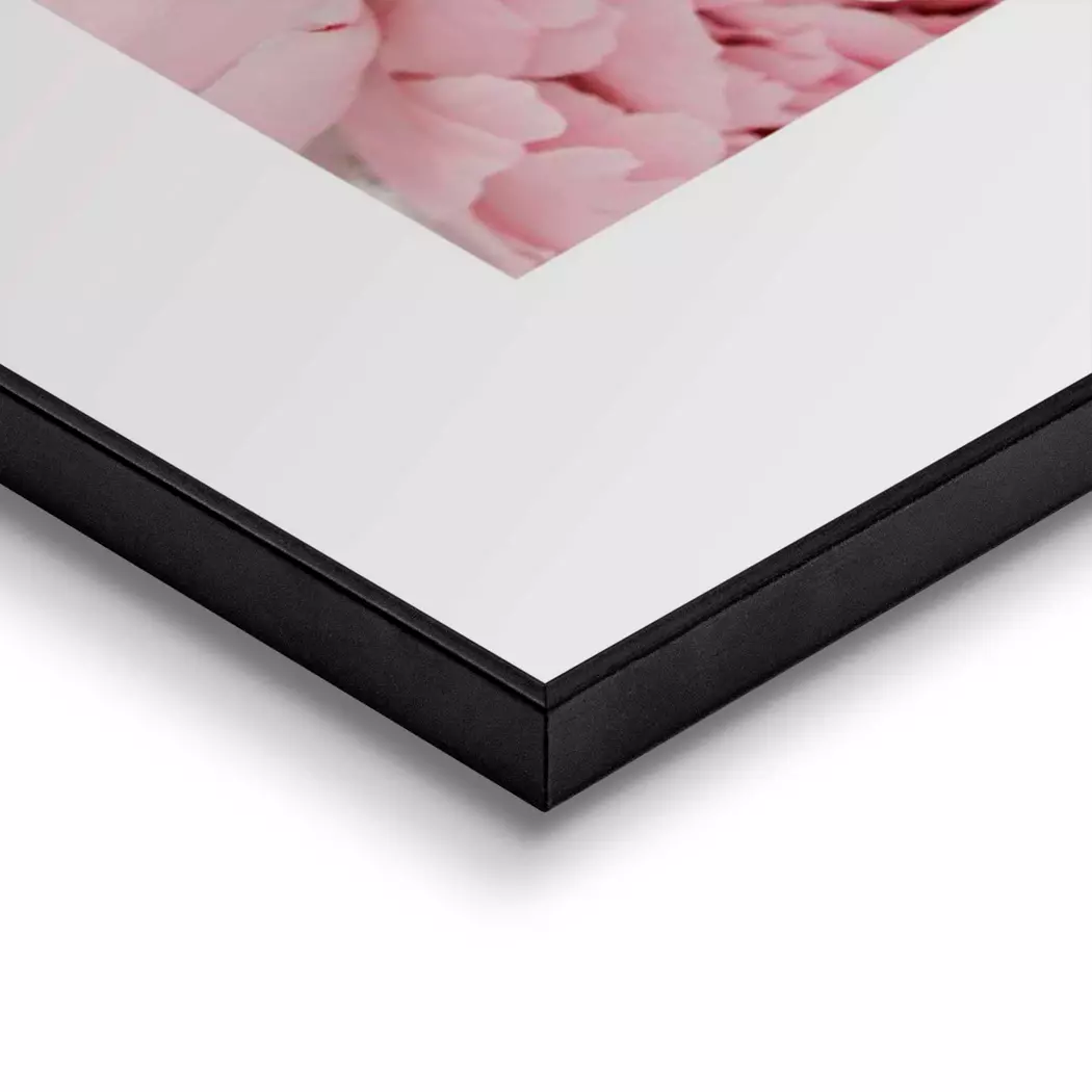 Wandbild 50 x 70 cm Peonies in Pink