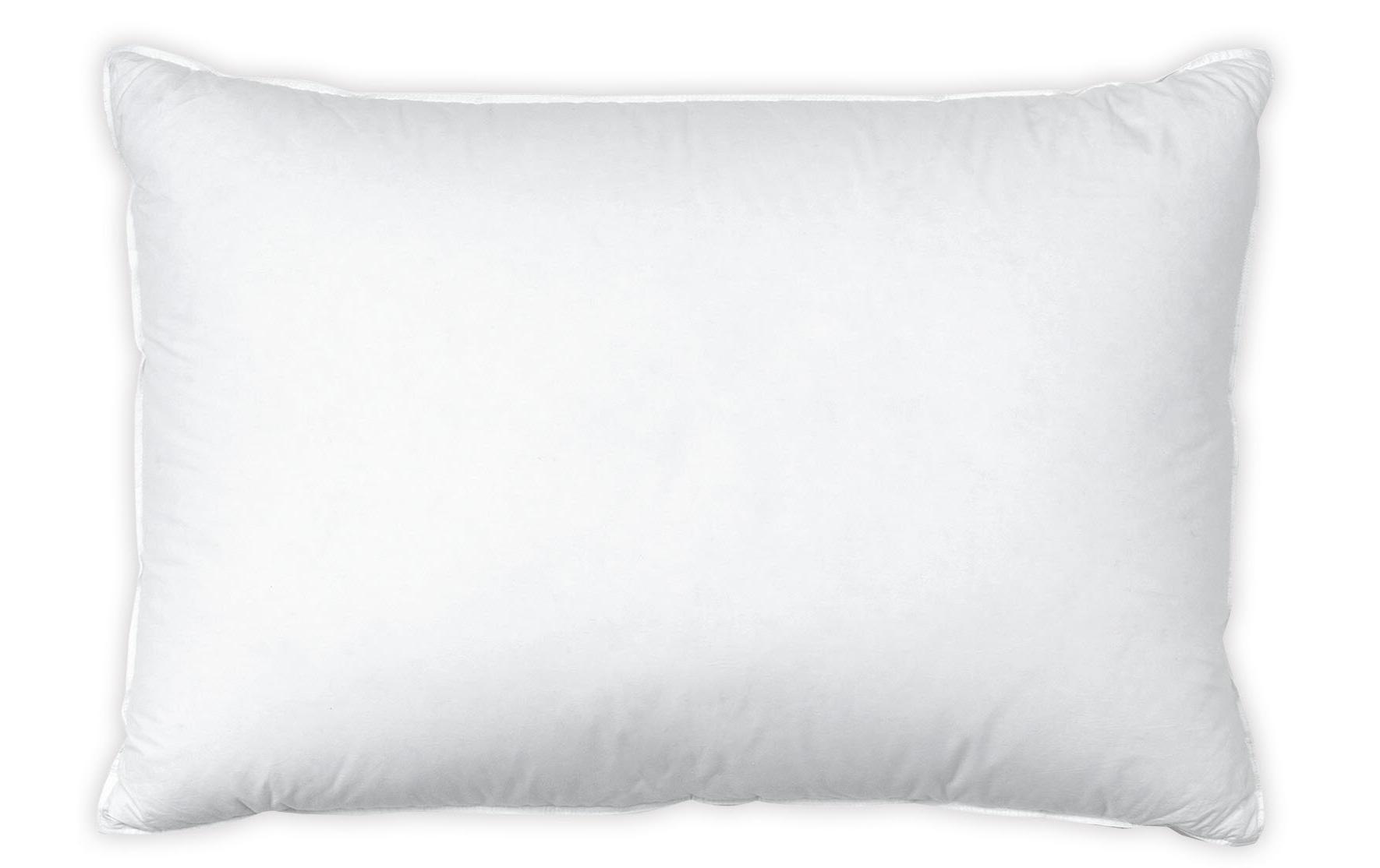 Klassisches Kopfkissen Basic Regular 50 x 70 cmKopfkissen mit Gänsefedern