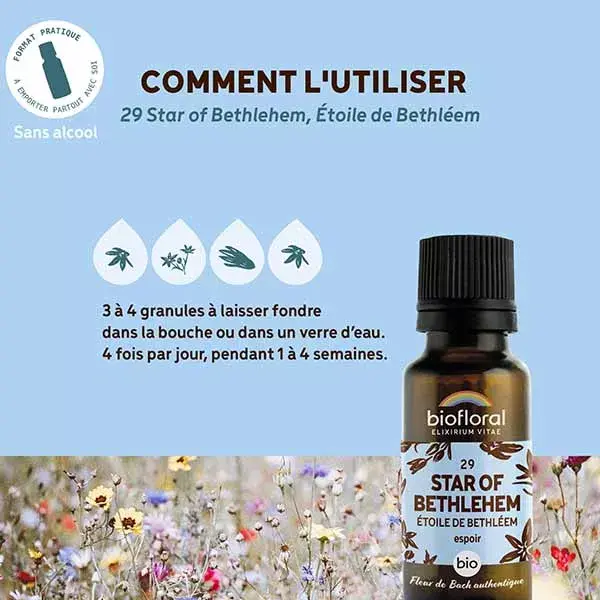 Biofloral 29 Estrela de Belém Etoile De Bethlehem Grânulos Orgânicos Florais de Bach 19,5 g
