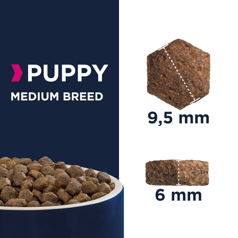 Eukanuba Puppy Medium Breed poulet pour chiot