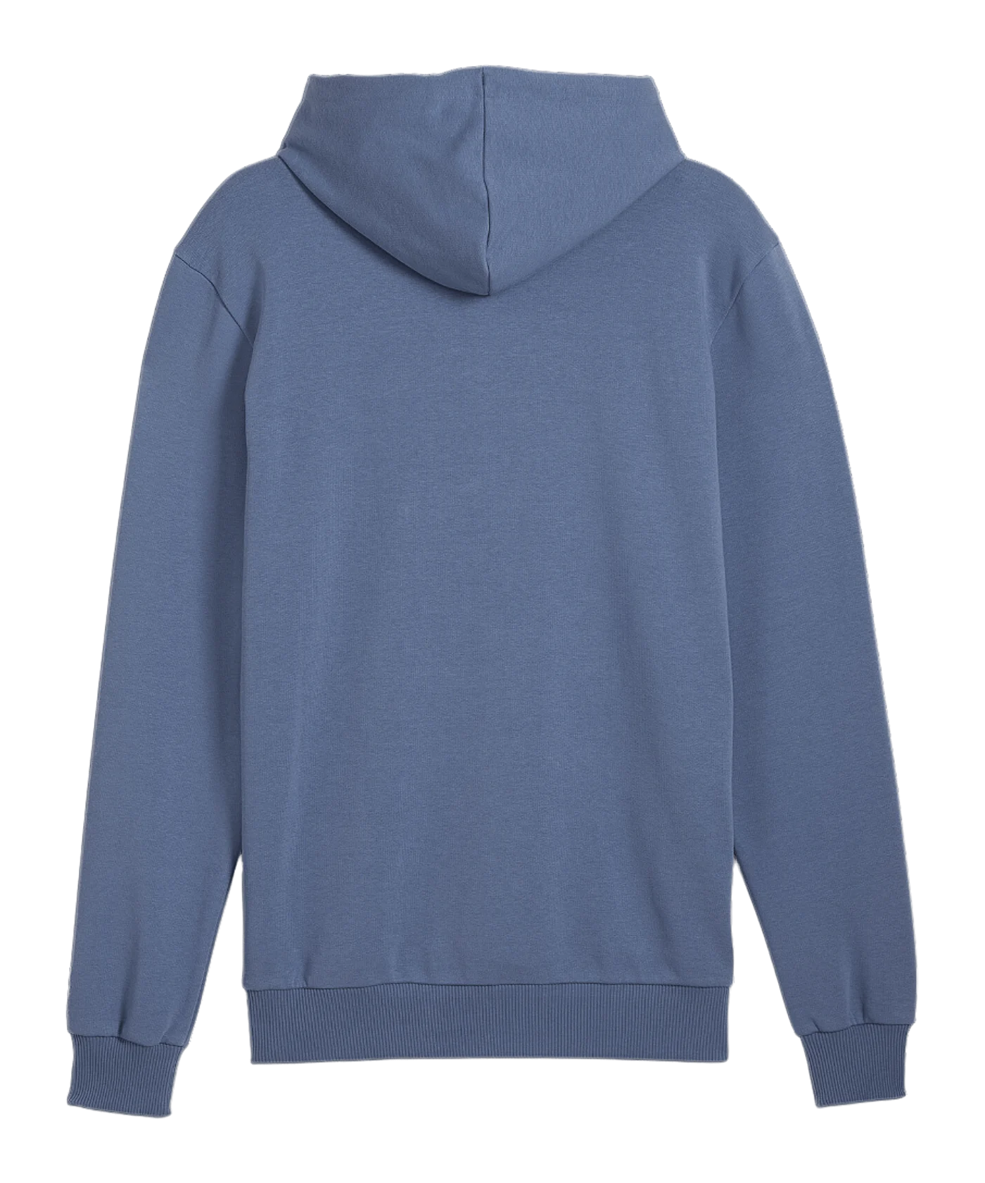 PUMA Handball Hoody Blau F10