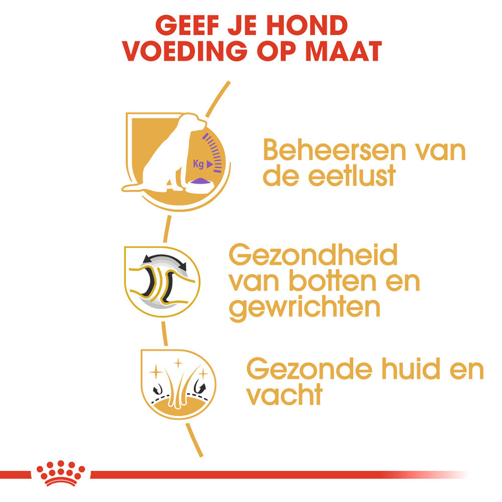 Royal Canin Labrador Retriever Sterilised Adult - Hondenvoer