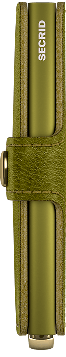 Premium basco