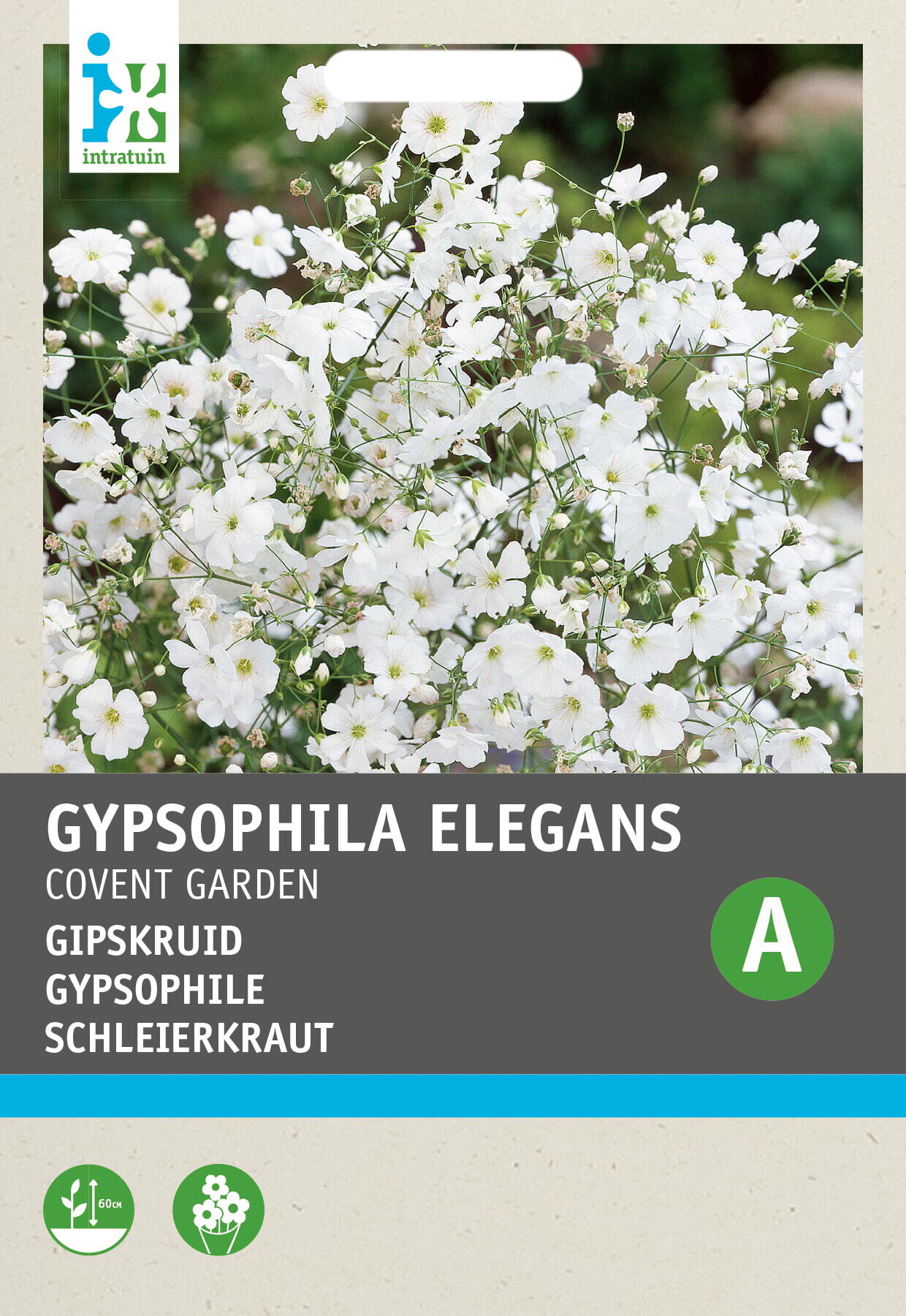 Intratuin bloemenzaad Gipskruid grootbloemig wit (Gypsophila elegans 'Covent Garden')