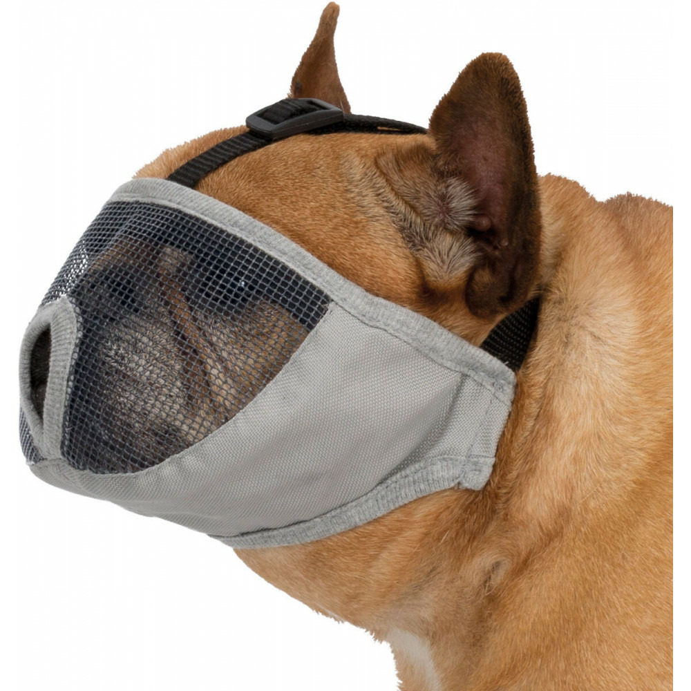 Muselière pour les races de chien à nez court taille m