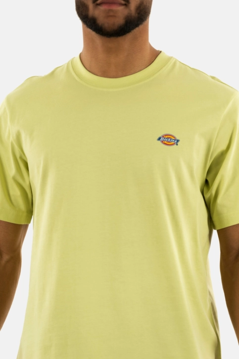 Tee shirt dickies mapleton h141 pale green
